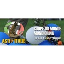 Coupe du Monde Mondioring