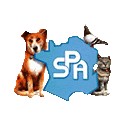 Un SMS pour les dispensaires de la SPA : la crise n'�pargne pas les animaux