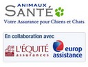 Assurance sant� pour chiens et chats