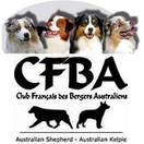 Le Berger Australien