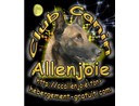 Morin - Les bonnes adresses canine et féline Morin - Les bonnes adresses canine et féline