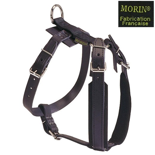 Harnais de motivation "Standard" en cuir