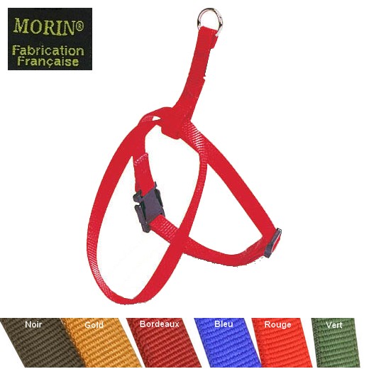 Collerette pour chien et chat en nylon, réglable, boucle rapide.