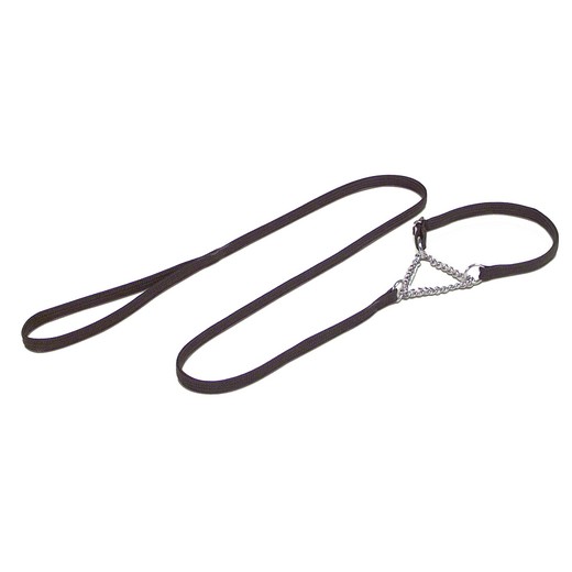 Laisse de présentation avec collier semi-étrangleur avec chaîne