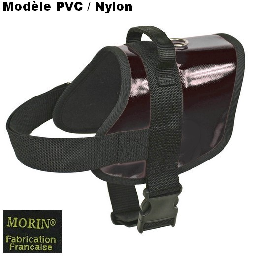 Harnais de motivation / identification luxe pour chiens