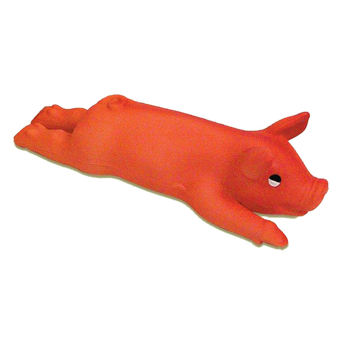 Cochon latex pour chien