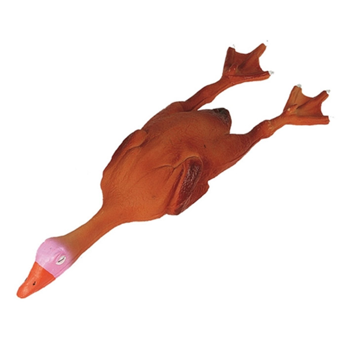 Canard latex pour chien