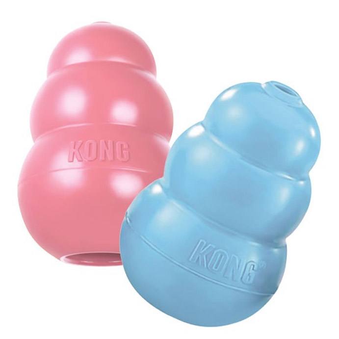 Kong Puppy, jouet pour chiot
