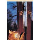 Grilles de sécurité pour fenêtre oscillante