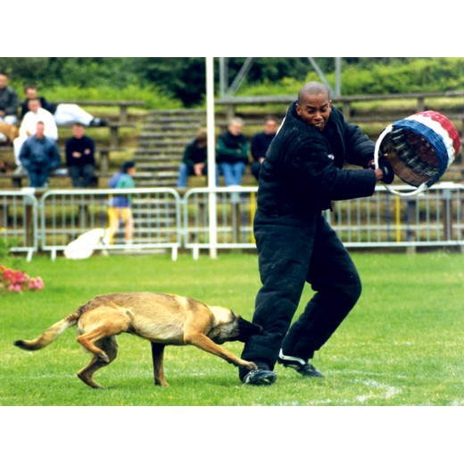 Costume compétition - MORIN Sport Canin