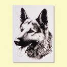 Berger Allemand - Autocollant