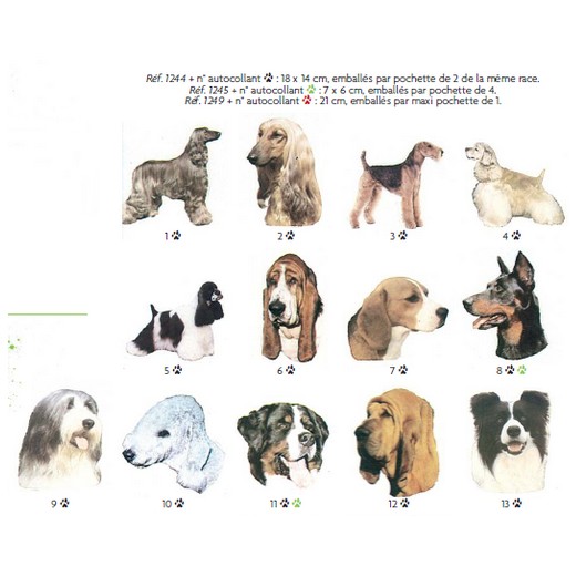 Autocollant - tête de chien (de la race 1 à 71)