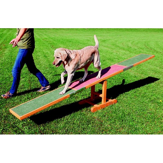 Balançoire Agility Training Concept