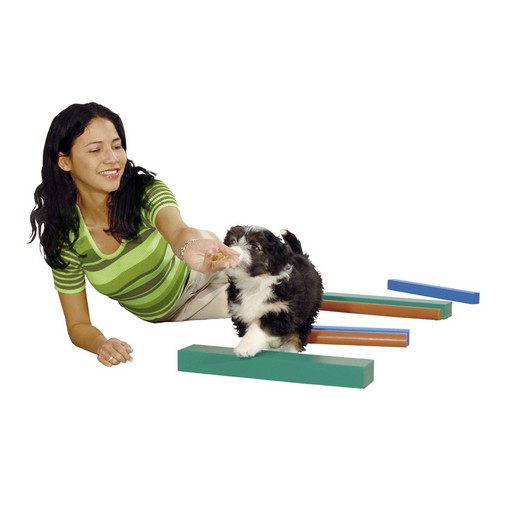 Barres de sol - Tricky Timber - Agility Training Concept