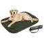Couverture DogTravel