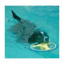 Frisbee Flyer "fantaisie" - image 2