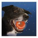 Balle Meteor Light K-9 � L.E.D.