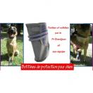 Bottine de protection en Kevlar pour chien