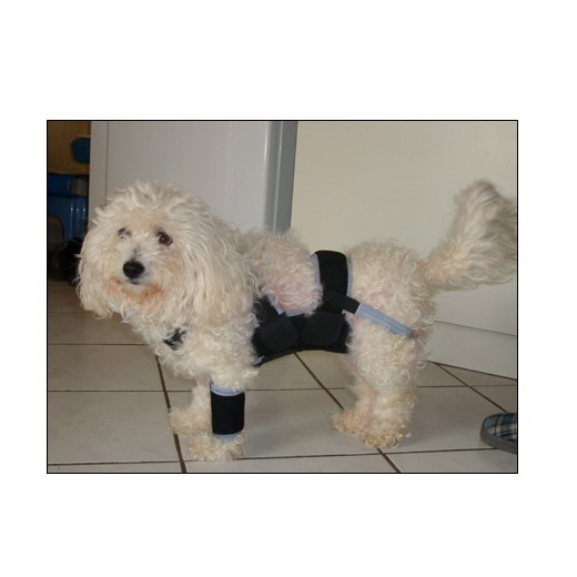Bandage post chirurgical abdominale et plaies