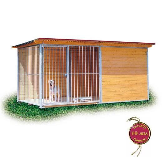 rencontre pour chien saillie