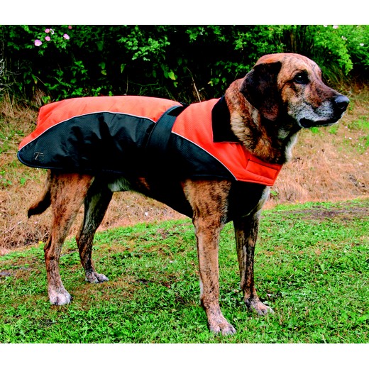 Manteau pour chien - Nizza