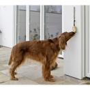 Bello Bell