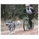 Patinette Foobike Trail - Kicktraining, Bike-Joring - image 5