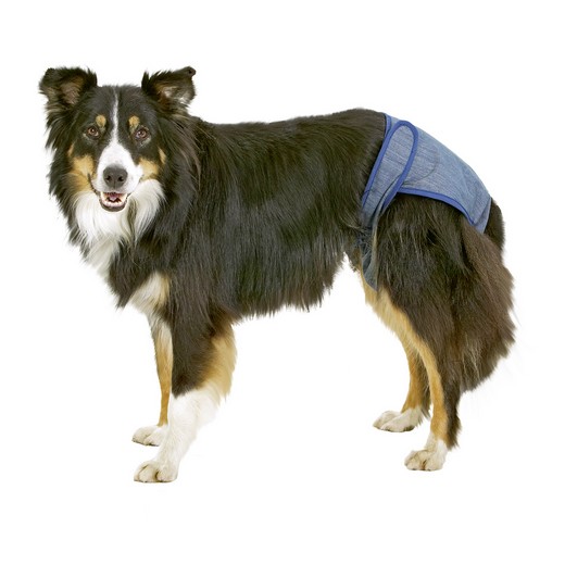 Slip d&rsquo;incontinence pour femelle