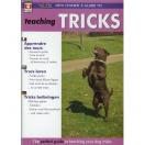 DVD - learning training