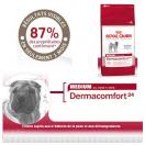 Medium Dermaconfort - Royal Canin