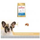 Bouledogue Fran�ais Junior - Royal Canin
