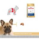 Bouledogue Fran�ais Adulte - Royal Canin