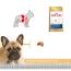 Bouledogue Fran�ais Adulte - Royal Canin