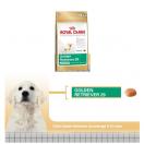 Golden Retriever Junior - Royal Canin