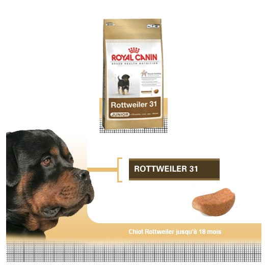 Rottweiler Junior - Royal Canin