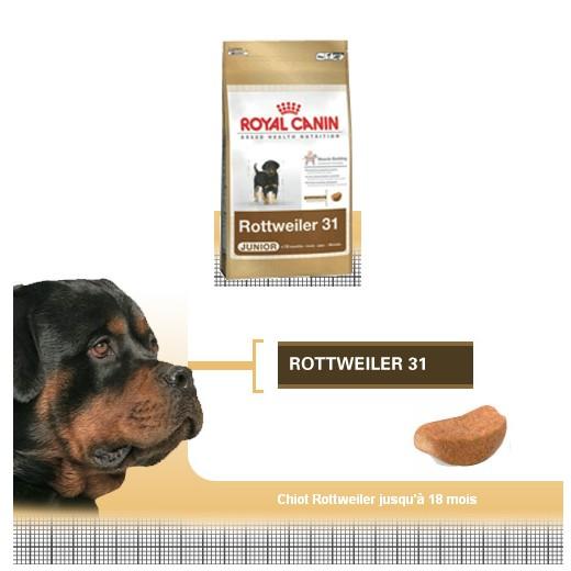 Rottweiler Junior Royal Canin. Aliments pour chien et chiots