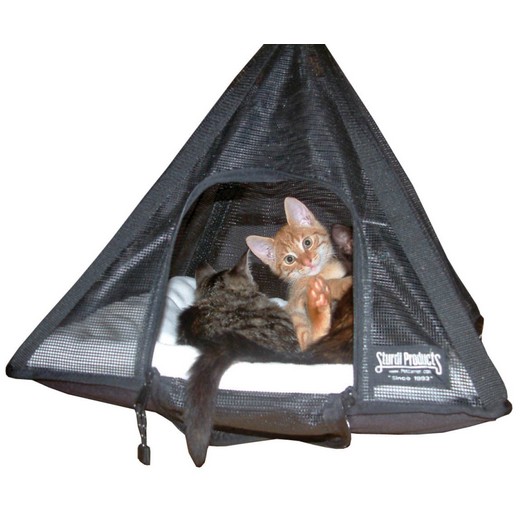 Cat Pyramid
