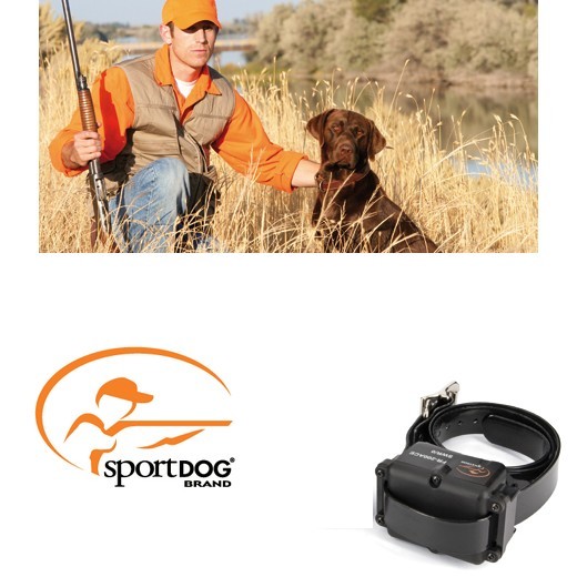 Collier suppl�mentaire pour SD400 et SD800 - SportDog