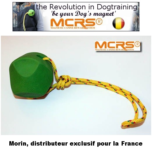 Balle Premium avec corde - MCRS