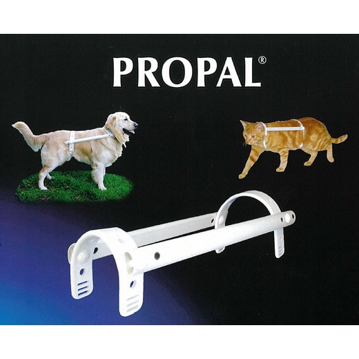 Propal - système de contention
