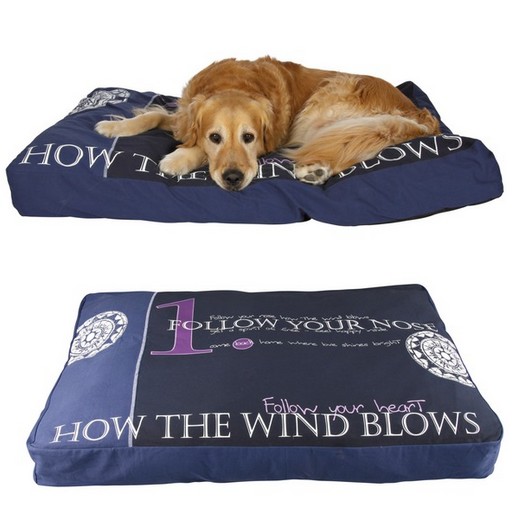 Coussin FOLLOW bleu