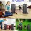 Cat Agility