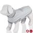 Pull for dog Bologna