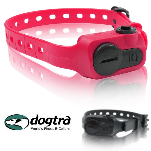 Collier anti aboiement Dogtra iQ Ultra Compact