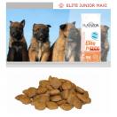 Flatazor Elite Junior pour chiens Maxi
