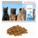 Flatazor Elite 25/16 pour chien adulte