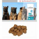 Flatazor Elite Chien Adulte Maxi