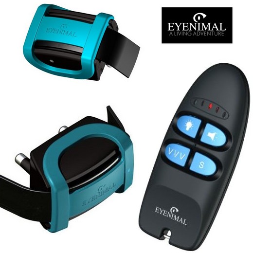 Eyenimal Training Pulse pour chien - Collier de dressage 200 m