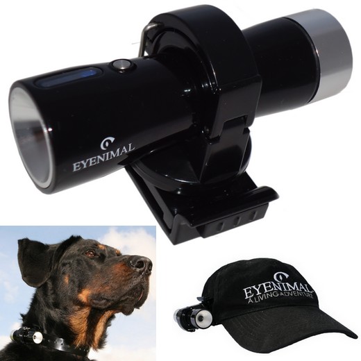 Caméra embarquée Dog Videocam - Eyenimal