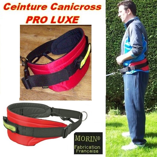 Ceinture Canicross PRO LUXE